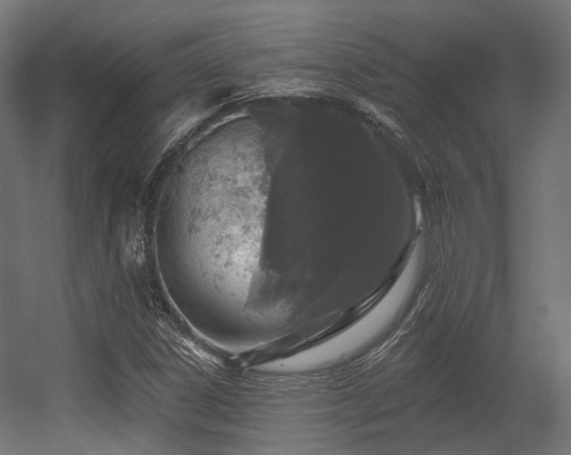 X0000056311306200509021526