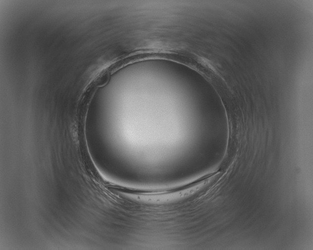 X0000056311307200509021526