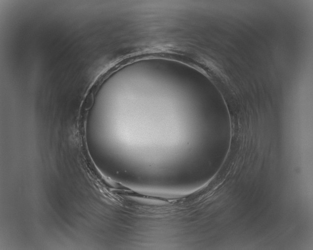 X0000056311308200509021526