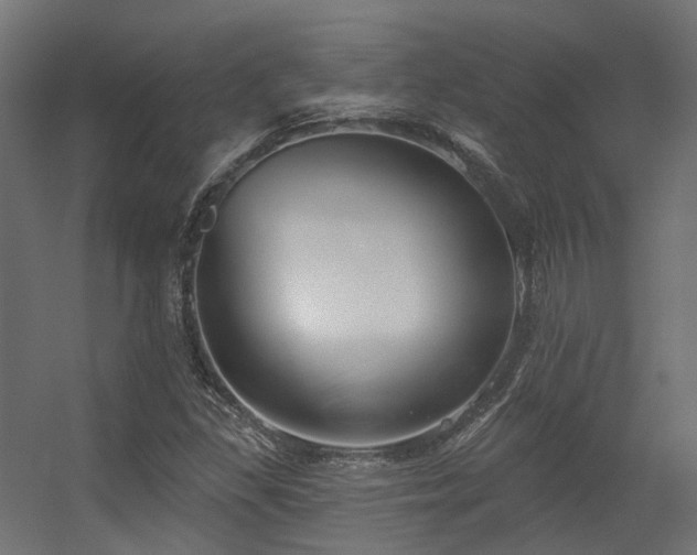 X0000056311309200509021526