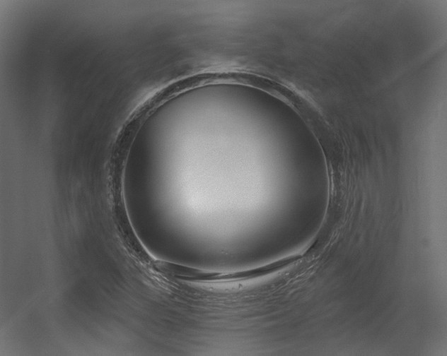 X0000056311311200509021526