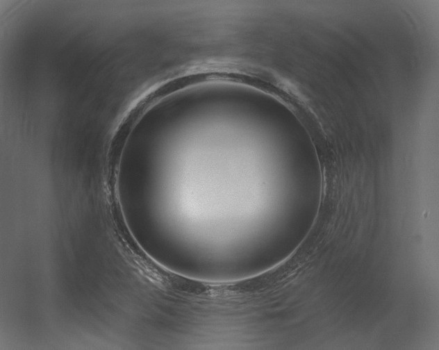 X0000056311312200509021526