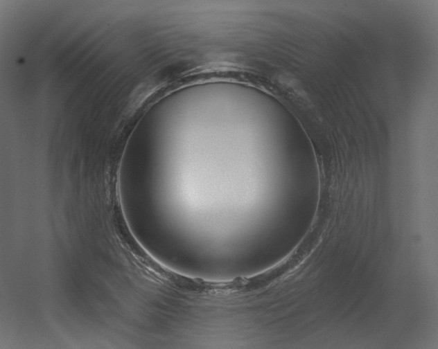 X0000056311313200509021526