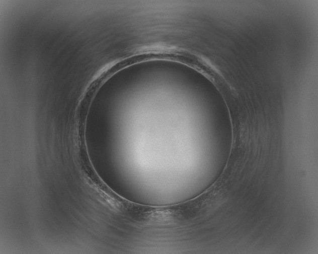 X0000056311315200509021526