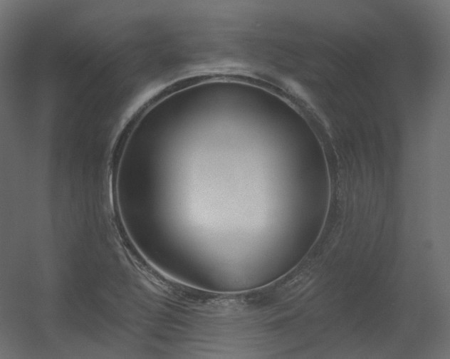 X0000056311320200509021527