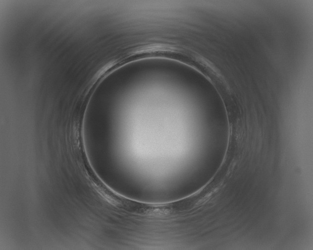 X0000056311321200509021527