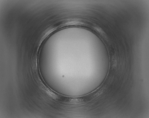X0000056311322200509021527