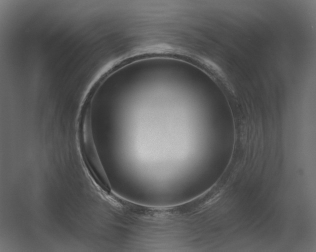 X0000056311326200509021527