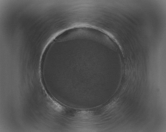 X0000056311327200509021527