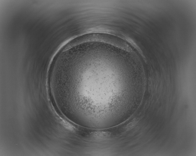 X0000056311331200509021527