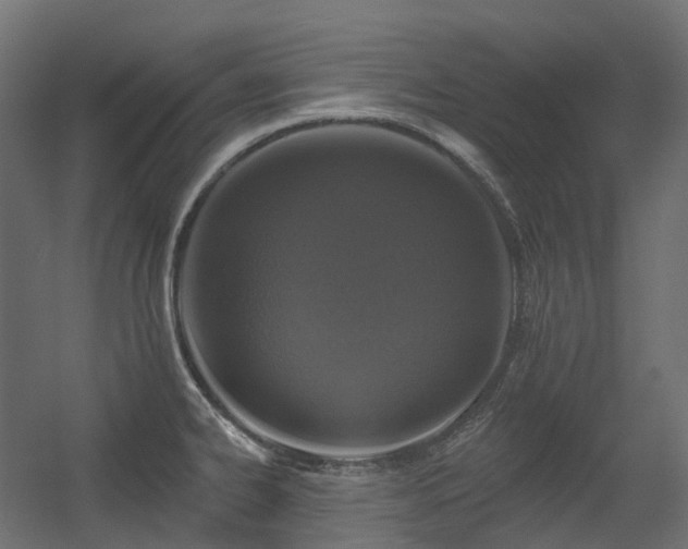 X0000056311334200509021527