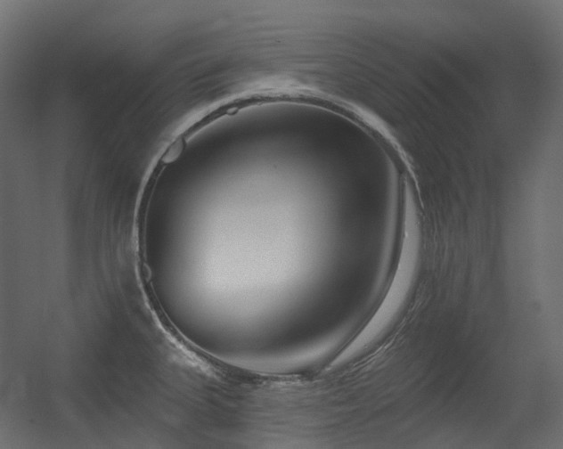 X0000056311335200509021527
