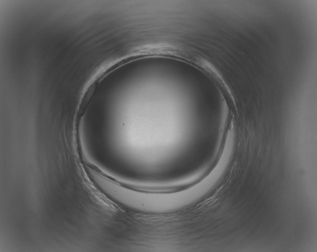 X0000056311336200509021527