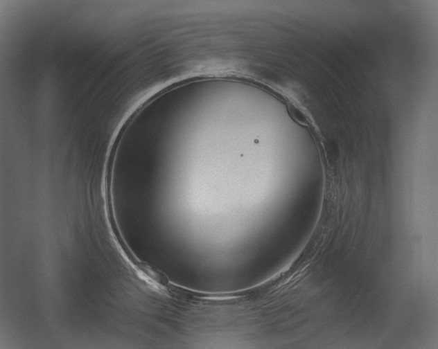X0000056311343200509021527