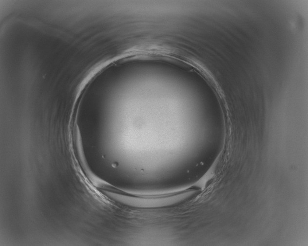 X0000056311344200509021527