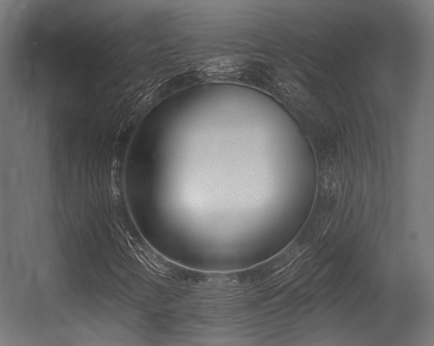 X0000056311346200509021526