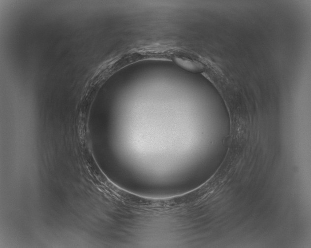 X0000056311350200509021526