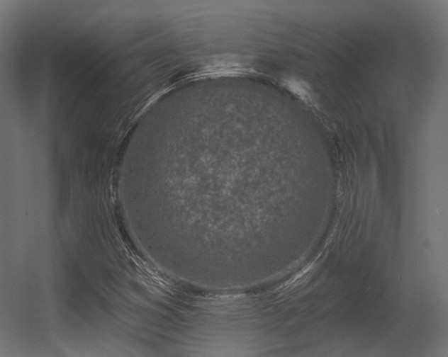 X0000056311353200509021526