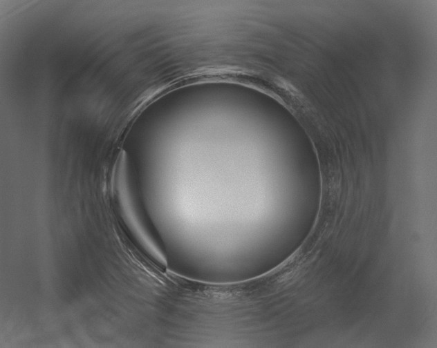 X0000056311361200509021526