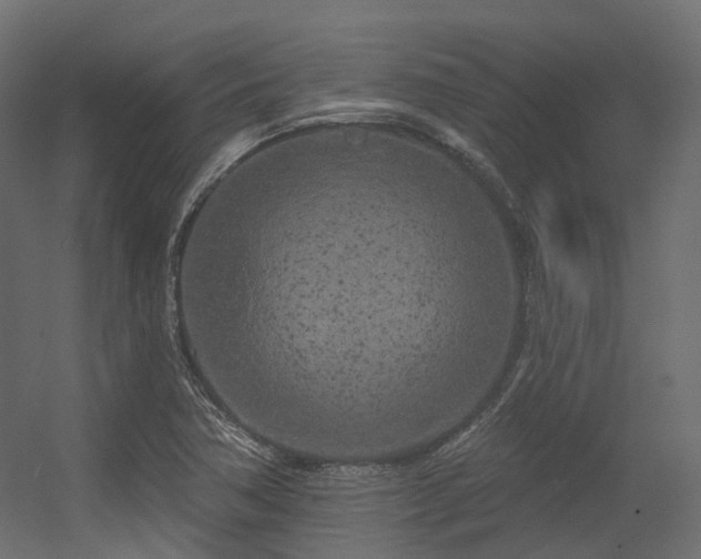 X0000056311362200509021526