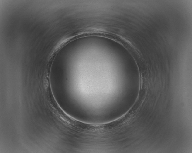 X0000056311363200509021526
