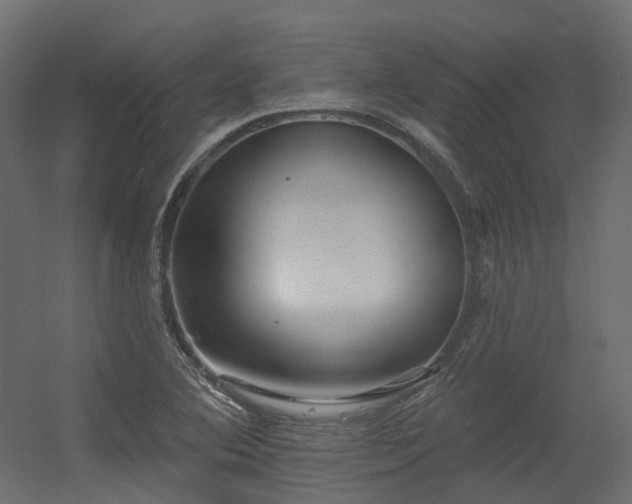X0000056311364200509021526