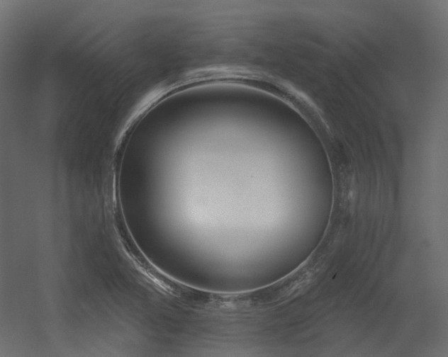 X0000056311365200509021526