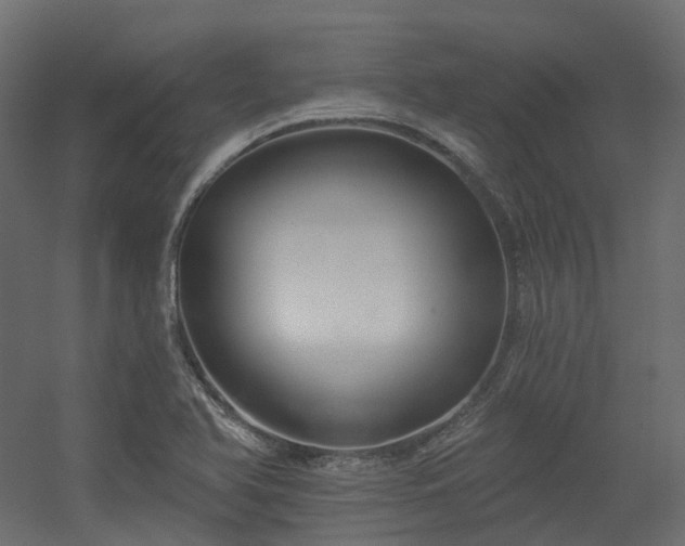 X0000056311366200509021526