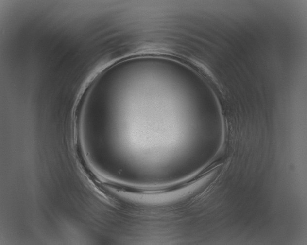 X0000056311371200509021526