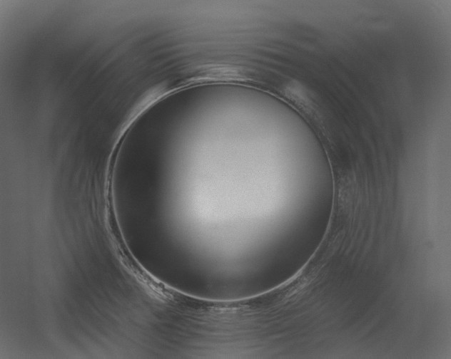 X0000056311378200509021526