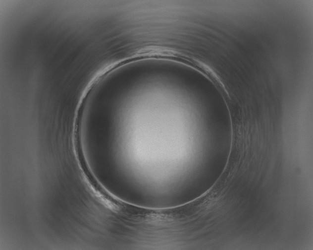 X0000056311379200509021526