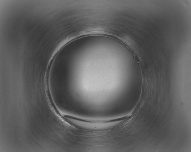 X0000056311382200509021526