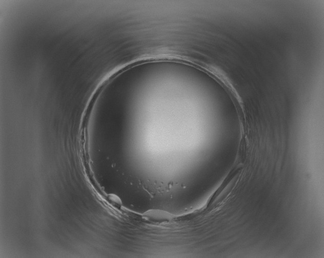 X0000056311388200509021525