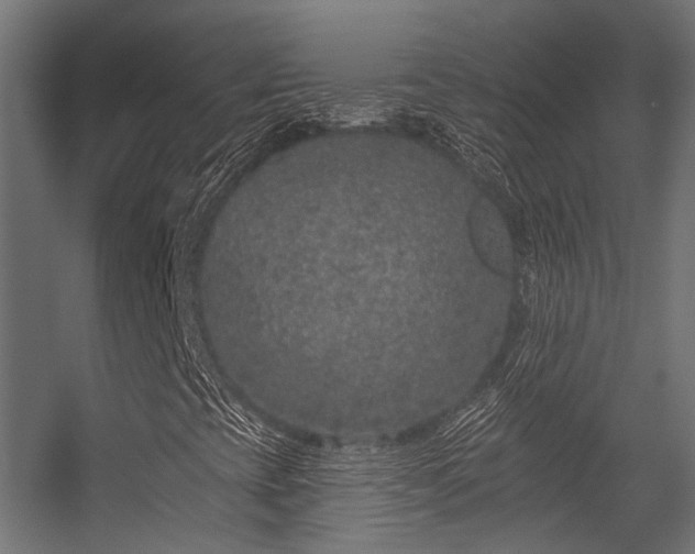 X0000056311393200509021525