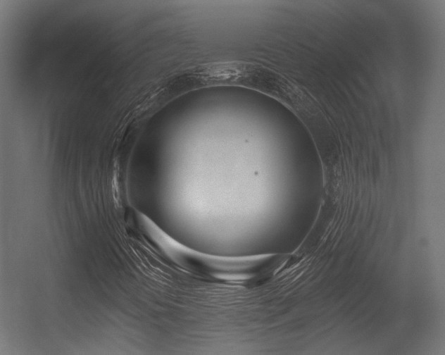 X0000056311394200509021525