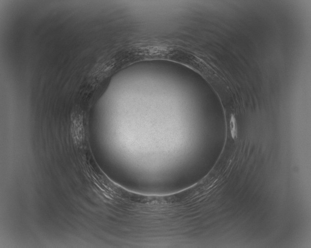 X0000056311395200509021525