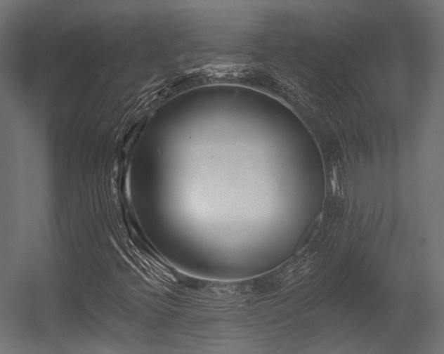 X0000056311396200509021525