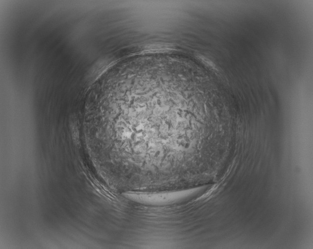 X0000056311401200509021525