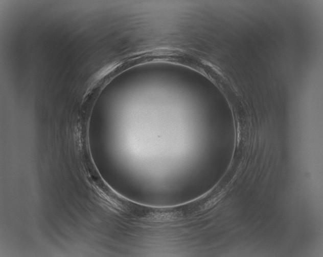 X0000056311402200509021525