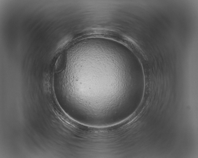 X0000056311403200509021525