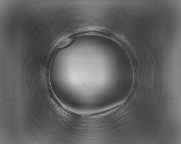 X0000056311404200509021525