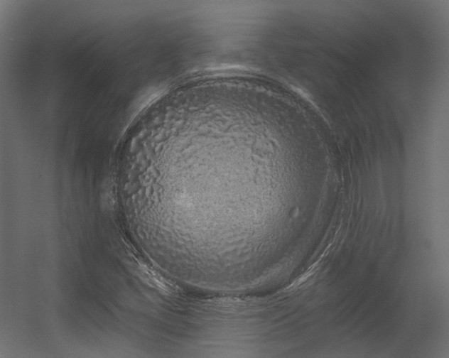X0000056311405200509021525