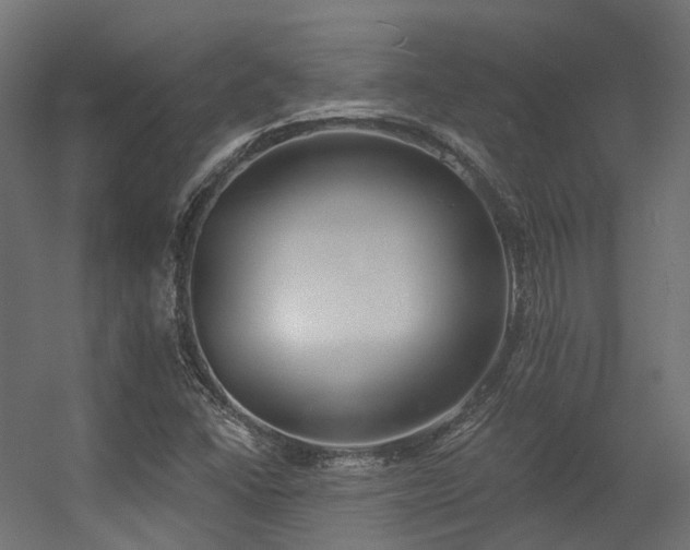 X0000056311406200509021525