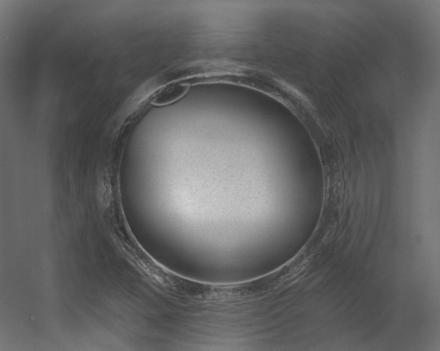 X0000056311407200509021525