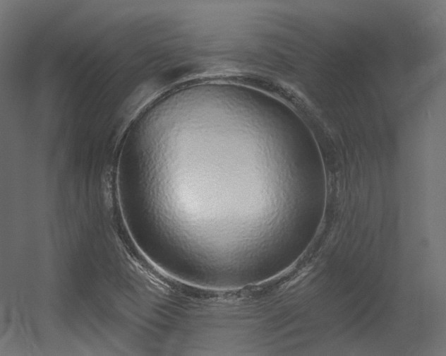 X0000056311409200509021525
