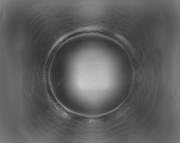 X0000056311412200509021525