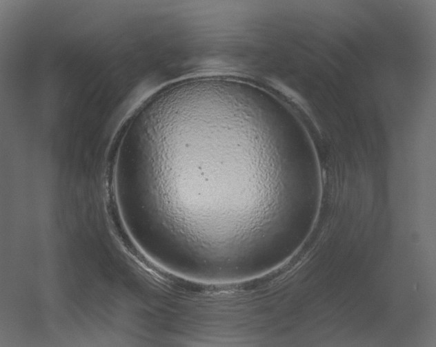 X0000056311415200509021525