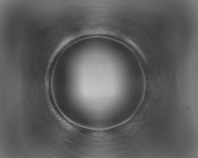 X0000056311416200509021525
