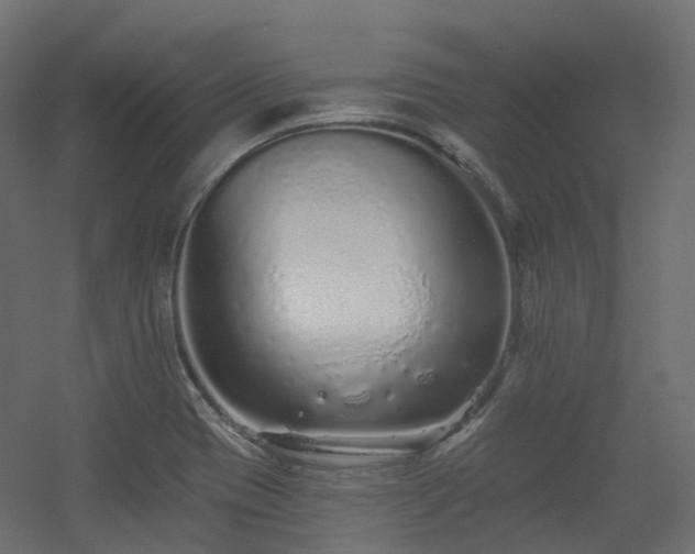 X0000056311417200509021525