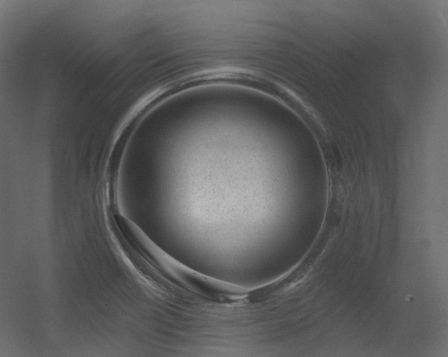 X0000056311418200509021525